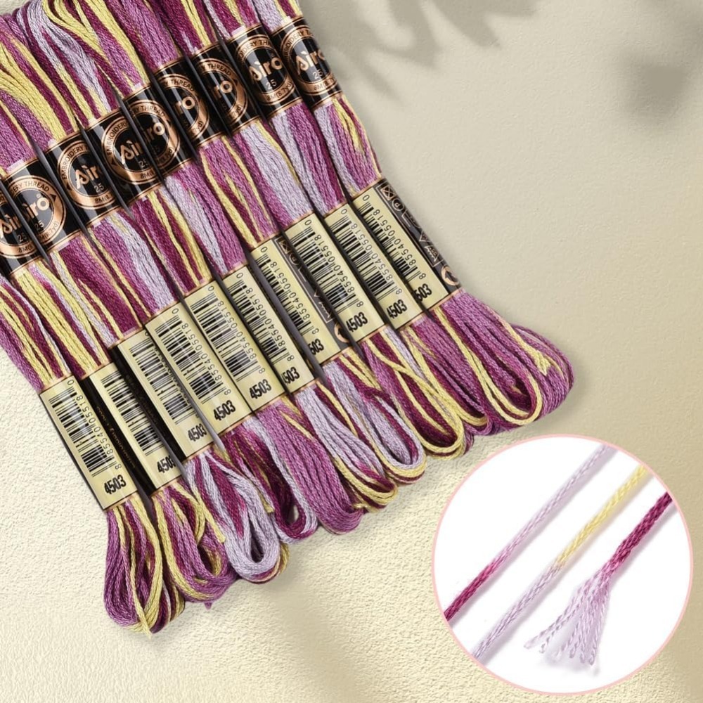 6 Strands Purple Variegated Em - đánh giá và giá Embroidery Bracelet